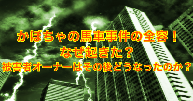 かぼちゃの馬車事件の全容！原因は！？被害者オーナーその後の動向は？