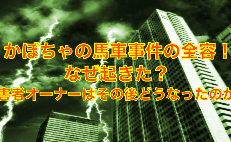 かぼちゃの馬車事件の全容！原因は！？被害者オーナーその後の動向は？