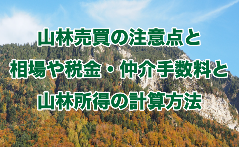 山林売買の注意点と相場や税金・仲介手数料と山林所得の計算方法