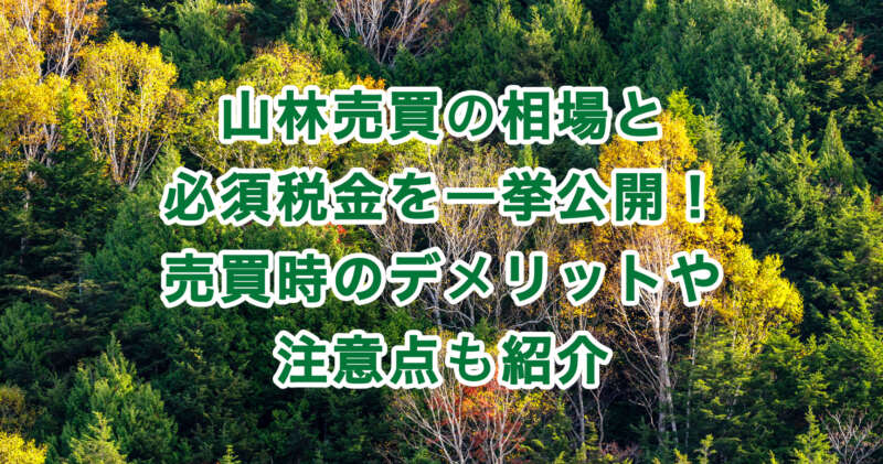 山林売買の相場と必須税金を一挙公開！売買時のデメリットや注意点も紹介