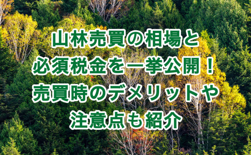 山林売買の相場と必須税金を一挙公開！売買時のデメリットや注意点も紹介