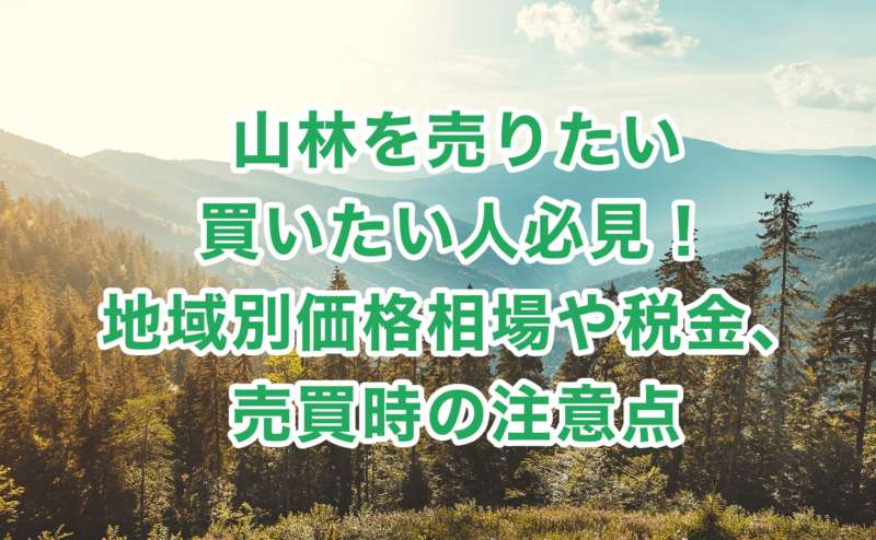 山林を売りたい・買いたい人必見！地域別価格相場や税金、売買時の注意点